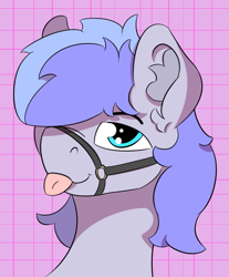 Size: 921x1115 | Tagged: safe, artist:dsksh, oc, oc only, oc:discoordination, pegasus, pony, :p, abstract background, blue eyes, bridle, bust, ear fluff, halter, looking at you, male, patterned background, pegasus oc, portrait, simple shading, solo, stallion, tack, tongue out, two toned mane