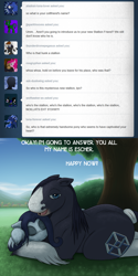 Size: 1500x3000 | Tagged: safe, artist:drxii, oc, oc:escher, oc:ipsywitch, earth pony, pony, g4, ask, cuddling, dialogue, draft horse, female, male, mare, outdoors, stallion, tumblr