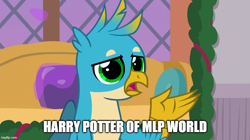 Size: 888x499 | Tagged: safe, edit, edited screencap, screencap, gallus, griffon, g4, the hearth's warming club, caption, green eyes, harry potter, harry potter (series), image macro, male, solo, text