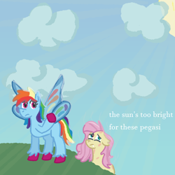 Size: 1500x1500 | Tagged: safe, artist:zoeyhorse, fluttershy, rainbow dash, bat pony, butterfly, butterfly pony, hybrid, pony, g4, bat ponified, butterfly wings, colored hooves, duo, duo female, fangs, female, floppy ears, flutterbat, hooves, mare, outdoors, race swap, unshorn fetlocks, wings