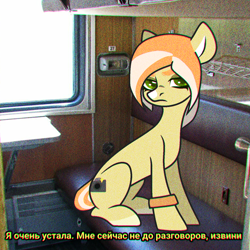 Size: 1536x1536 | Tagged: safe, artist:victoria_nik, oc, oc only, oc:melting cocktail, earth pony, pony, angry, base used, cyrillic, green eyes, looking at you, real life background, sitting, solo, subtitles