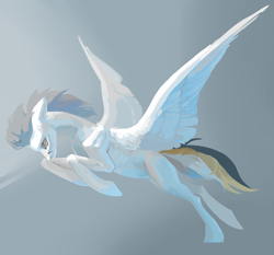 Size: 2539x2362 | Tagged: safe, artist:yanisfucker, oc, oc only, oc:kej, pegasus, pony, high res, ribs, solo