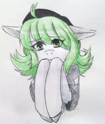 Size: 919x1080 | Tagged: oc name needed, safe, artist:illustra, oc, oc only, earth pony, pony, beret, bust, clothes, earth pony oc, eyebrows, eyebrows visible through hair, female, female oc, floppy ears, green eyes, green mane, hat, looking at you, mare, mare oc, marker drawing, simple background, solo, stars, traditional art, unshorn fetlocks, white background