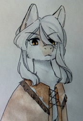 Size: 746x1080 | Tagged: oc name needed, safe, artist:illustra, oc, oc only, earth pony, pony, bust, cheek fluff, ear fluff, earth pony oc, eyebrows, eyebrows visible through hair, looking at you, marker drawing, native american, simple background, solo, traditional art, white background, white coat