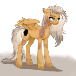 Size: 2776x2776 | Tagged: safe, artist:sierraex, oc, oc only, oc:dust, pegasus, pony, female, mare, pegasus oc, scar, solo, torn ear