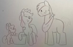 Size: 1902x1226 | Tagged: safe, artist:texacity, apple bloom, applejack, big macintosh, earth pony, pony, g4, apple siblings, apple sisters, brother and sister, cute, female, filly, foal, grayscale, male, mare, monochrome, pencil drawing, siblings, sisters, sketch, stallion, traditional art, trio