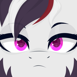 Size: 4600x4600 | Tagged: safe, artist:desombra, oc, oc only, oc:star nova, hybrid, zebra, zony, face, looking at you, male, pink eyes, stallion, striped mane, stripes