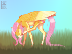 Size: 1750x1300 | Tagged: safe, artist:moonlenoircrow, fluttershy, pegasus, pony, g4, beanbrows, blurry background, coat markings, colored eyebrows, cute, eyebrows, eyes closed, female, folded wings, grass, hoers, horses doing horse things, large wings, mare, outdoors, pale belly, scratching, scratching with hind leg, shyabetes, signature, sky, socks (coat markings), solo, standing, wings