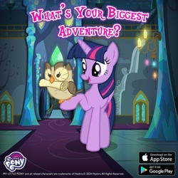 Size: 1080x1080 | Tagged: safe, gameloft, owlowiscious, twilight sparkle, alicorn, bird, owl, pony, g4, app store, duo, duo male and female, female, google play, male, mare, my little pony logo, pet, twilight sparkle (alicorn), twilight's castle