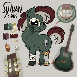 Size: 4608x4608 | Tagged: safe, artist:iamaveryrealperson, oc, oc only, oc:sylvan opus, earth pony, pony, amputee, bandage, closed mouth, colored, cutie mark, doodle, earth pony oc, eyelashes, gradient hooves, guitar, hoof on cheek, looking at you, multicolored hair, multicolored mane, multicolored tail, musical instrument, name, nonbinary, nonbinary oc, photo, ponified, prosthetic leg, prosthetic limb, prosthetics, reference sheet, scar, simple background, smiling, solo, standing, tail, text