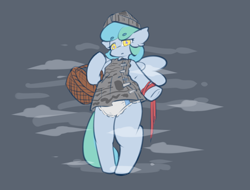 Size: 1024x780 | Tagged: safe, artist:ninebuttom, oc, oc only, oc:siriusnavigator, pegasus, semi-anthro, basket, diaper, fetish, non-baby in diaper, solo, starry eyes, wingding eyes