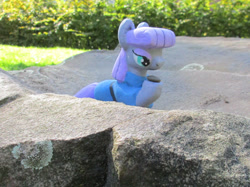 Size: 2354x1765 | Tagged: safe, alternate version, artist:malte279, part of a set, boulder (g4), maud pie, earth pony, pony, g4, concrete, craft, female, irl, mare, outdoors, photo, sculpture, solo, ytong