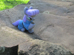 Size: 1032x774 | Tagged: safe, alternate version, artist:malte279, part of a set, boulder (g4), maud pie, earth pony, pony, g4, concrete, craft, female, irl, mare, outdoors, photo, sculpture, solo, ytong