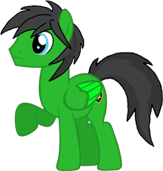 Size: 3176x3336 | Tagged: safe, artist:star-armour95, oc, oc only, oc:star armour, pegasus, g4, male, simple background, solo, transparent background