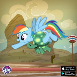 Size: 1080x1080 | Tagged: safe, gameloft, rainbow dash, tank, pegasus, pony, tortoise, g4, my little pony: magic princess, buckball field, duo, female, flying, holding a tortoise, male, mare, outdoors