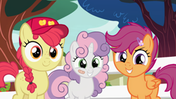 Size: 1276x718 | Tagged: safe, edit, edited screencap, editor:anonymous, screencap, apple bloom, scootaloo, sweetie belle, earth pony, pegasus, pony, unicorn, g4, marks for effort, adorabloom, alternate hairstyle, bandaid, baseball cap, blank flank, braid, braided pigtails, cap, cute, cutealoo, cutie mark crusaders, diasweetes, female, fence, filly, foal, freckles, hairclip, hat, horn, looking at you, messy mane, outdoors, pigtails, poofy hair, poofy mane, smiling, smiling at you, tomboy, tree, trio