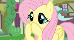 Size: 1074x585 | Tagged: safe, artist:tweekstudio, fluttershy, pegasus, pony, g4, female, mare, ponyville, solo