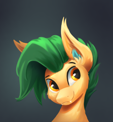 Size: 1812x1965 | Tagged: safe, artist:foxpit, oc, oc only, oc:stern, bat pony, gradient background, male