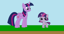 Size: 1440x777 | Tagged: safe, artist:marybethemberjoy49-1, twilight sparkle, alicorn, pony, g4, g4.5, my little pony: pony life, female, generational ponidox, mare, outdoors, twilight sparkle (alicorn)