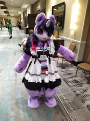 Size: 5000x6667 | Tagged: safe, twilight sparkle, human, mare fair, 2024, clothes, corridor, dress, fursuit, indoors, irl, irl human, maid, photo, ponysuit