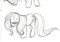 Size: 937x649 | Tagged: safe, artist:lauren faust, fluttershy, pegasus, pony, g4, concept art, eyelashes, female, lidded eyes, long mane, long tail, looking away, mare, pencil drawing, profile, raised leg, simple background, sketch, smiling, solo, standing on three hooves, tail, traditional art, wavy mane, wavy tail, white background, wingless