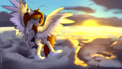 Size: 3840x2160 | Tagged: safe, artist:endelthepegasus, oc, oc only, oc:flappy smile, pegasus, cloud, female, floppy ears, outdoors, scenery, solo, spread wings, wings