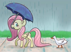 Size: 3445x2554 | Tagged: safe, artist:catscratchpaper, fluttershy, bird, duck, pegasus, pony, g4, grass, mouth hold, outdoors, rain, sidewalk, umbrella