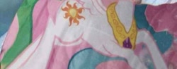 Size: 720x281 | Tagged: safe, princess celestia, alicorn, blanket, body, irl, photo