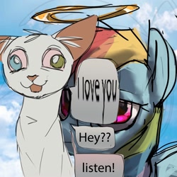 Size: 2000x2000 | Tagged: safe, artist:skypaw10, rainbow dash, oc, cat, pegasus, pony, g4, annoying, duo, english, halo, text