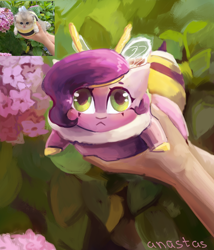 Size: 3000x3500 | Tagged: safe, artist:anastas, pipp petals, bee, bee pony, bumblebee, cat, human, hybrid, insect, original species, pegasus, pony, g5, :<, adorapipp, bumblebipp, chibi, cute, female, flower, hand, holding, holding a pony, insect wings, looking at you, meme, offscreen character, parody, pipp is short, pipp is smol, ponified animal photo, pov, smol, solo, species swap, wings