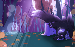 Size: 1280x810 | Tagged: safe, artist:dhabquin, oc, oc only, pegasus, pony, clothes, female, forest, leaves, mare, moon, nature, night, night sky, outdoors, sky, socks, solo, tree