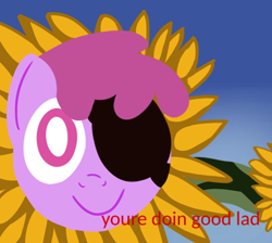 Size: 554x496 | Tagged: safe, artist:pylony, berry punch, berryshine, earth pony, g4, encouragement, eyepatch, female, flower, gradient background, grammar error, looking at you, meme, misspelling, needs more jpeg, smiling, solo, sunflower, team fortress 2, text