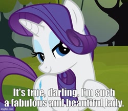 Size: 577x499 | Tagged: safe, edit, edited screencap, screencap, rarity, g4, season 3, spike at your service, caption, cropped, darling, fabulous, image macro, imgflip, solo, talking to viewer, text, truth