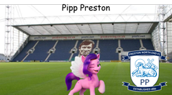 Size: 1875x1036 | Tagged: safe, editor:izzymoonbow_444, pipp petals, pegasus, pony, g5, comic sans, deepdale, football, irl, photo, ponies in real life, preston, preston north end, sports, stadium