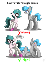 Size: 3000x4000 | Tagged: safe, artist:noomeralf, oc, oc only, oc:hazy breeze, oc:noomi feathers, pegasus, pony, clothes, dirty socks, female, fetish, glasses, hoof fetish, how to talk to short people, male, mare, slippers, sock fetish, socks, speech bubble, stallion, text