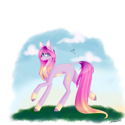 Size: 2449x2449 | Tagged: safe, artist:cookieholderowo, oc, oc only, oc:butter pie, earth pony, pony, female, long legs, mare, simple background, solo, transparent background