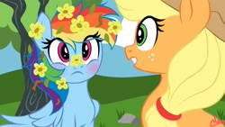 Size: 1080x608 | Tagged: safe, artist:darkshy_kirin, applejack, rainbow dash, earth pony, pegasus, pony, g4, applejack's hat, blushing, cowboy hat, cute, dashabetes, duo, duo female, eye clipping through hair, female, flower, flower in hair, flower on ear, flower on nose, folded wings, freckles, hat, lesbian, looking at each other, looking at someone, mare, scene interpretation, ship:appledash, shipping, show accurate, signature, tied hair, tree, wings