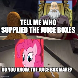 Size: 500x500 | Tagged: safe, edit, pinkie pie, elements of justice, g4, ace attorney, caption, dreamworks, gingerbread man, gingy, image macro, judge, shrek, text