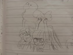 Size: 4160x3120 | Tagged: safe, artist:amin684682, sunset shimmer, twilight sparkle, human, equestria girls, g4, duo, duo female, female, humanized, pencil drawing, photo, plushie, sketch, traditional art