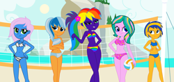 Size: 3698x1743 | Tagged: safe, artist:star-armour95, oc, oc only, oc:flare spark, oc:radiant rail, oc:rainbow flower, oc:star heart, oc:sunlight mist, human, equestria girls, g4, female, sports, volleyball, volleyball net