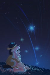 Size: 1375x2048 | Tagged: safe, artist:hichieca, oc, oc only, earth pony, pegasus, cute, duo, duo male and female, female, flower, hug, hug from behind, looking up, male, night, shooting star, stars