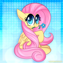 Size: 2000x2000 | Tagged: safe, artist:saveraedae, fluttershy, pegasus, pony, g4, abstract background, blue background, cute, daaaaaaaaaaaw, female, flower, gradient background, looking at you, mare, mouth hold, pink mane, raised hoof, shyabetes, solo, teal eyes, wings, yellow coat