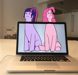 Size: 640x617 | Tagged: safe, artist:nimingxiwang168, pinkie pie, twilight sparkle, equestria girls, g4, computer, duo, laptop computer, macbook, meme, ponified meme, real life background, trace, wat