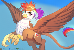 Size: 1400x954 | Tagged: safe, artist:bakki, oc, oc only, oc:rainbow feather, griffon, commission, female, flying, griffon oc, interspecies offspring, looking at you, magical lesbian spawn, offspring, parent:gilda, parent:rainbow dash, parents:gildash, solo, spread wings, wings