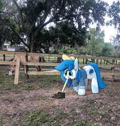 Size: 2562x2692 | Tagged: artist needed, safe, edit, oc, oc only, oc:fallen oakley, earth pony, horse, pony, g4, animal, cleaning, clothes, earth pony oc, fallen oak equine rescue and rehabilitation, female, female oc, fence, hat, irl, irl horse, manure, mare, mare oc, mouth hold, outdoors, photo, photo edit, poop, shovel, solo, tree