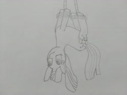 Size: 4032x3016 | Tagged: safe, artist:jakusi, twilight sparkle, pony, unicorn, czequestria, g4, female, hanging, hanging upside down, horn, looking down, mare, rope, sketch, solo, tied up, traditional art, upside down