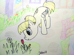 Size: 4032x3016 | Tagged: safe, artist:jakusi, summer breeze, pegasus, pony, g4, background pony, female, flower, friendship student, garden, grass, hair bun, leaning, mare, outdoors, school of friendship, signature, smelling, solo, traditional art, tulip