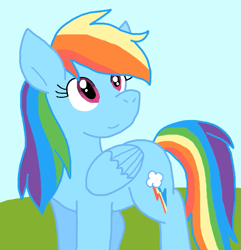 Size: 717x744 | Tagged: safe, artist:cmara, rainbow dash, pegasus, pony, g4, female, outdoors, solo, wings