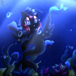 Size: 2024x2024 | Tagged: safe, artist:amitadust, oc, oc only, fish, pegasus, pony, seapony (g4), 2019, bubble, commission, coral, crepuscular rays, cute, digital art, dorsal fin, female, fin, fin wings, fins, fish tail, flowing mane, flowing tail, mare, ocean, old art, scales, seaweed, smiling, solo, spread wings, sunlight, swimming, tail, underwater, water, wings, ych result