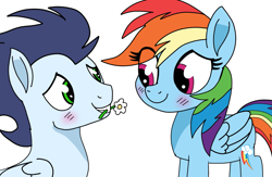 Size: 2139x1395 | Tagged: source needed, safe, artist:pinky cloudy, rainbow dash, soarin', pegasus, pony, g4, blushing, female, flower, looking at each other, looking at someone, male, mare, movie accurate, ship:soarindash, shipping, smiling, stallion, straight